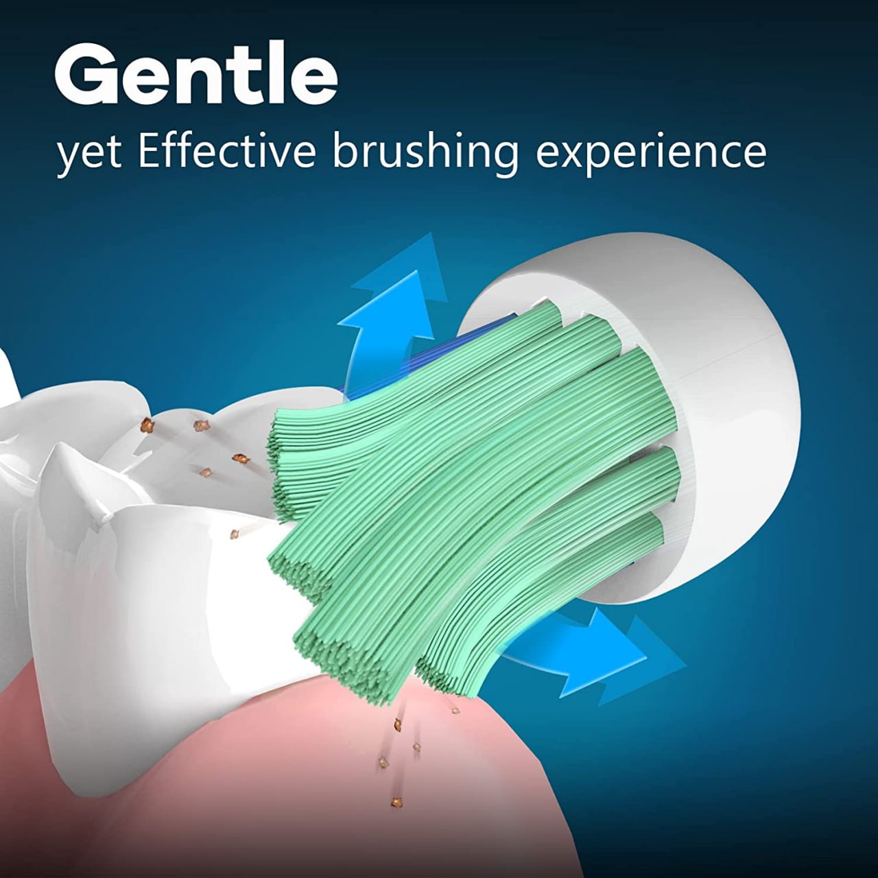 Gentle yet effective brushing visual